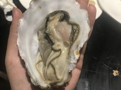 -壹号港湾