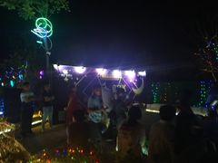 -大塘金香草谷