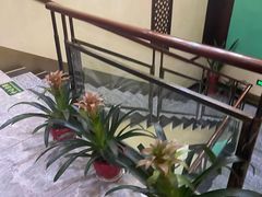 -闻景·足道SPA(凯迪城店)