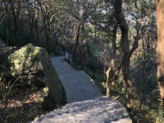-紫金山山顶公园