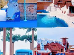 -秦皇岛乐岛海洋王国