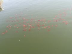 -迎泽公园