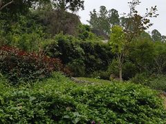 -火炉山森林公园