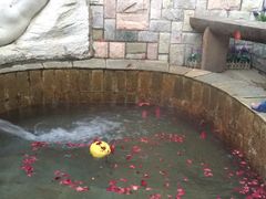 -北京美神宫艺术主题温泉酒店