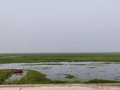 -湖南东洞庭湖国家级自然保护区