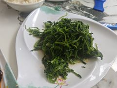 木兰芽-途肴·老农饭庄(百里峡店)