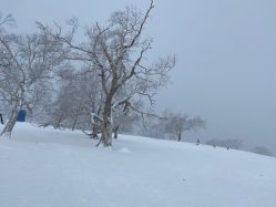 -大秃顶子山