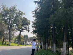 -东湖落雁景区