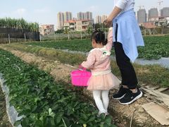 -新地休闲农场