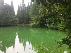-宝岩生态观光园
