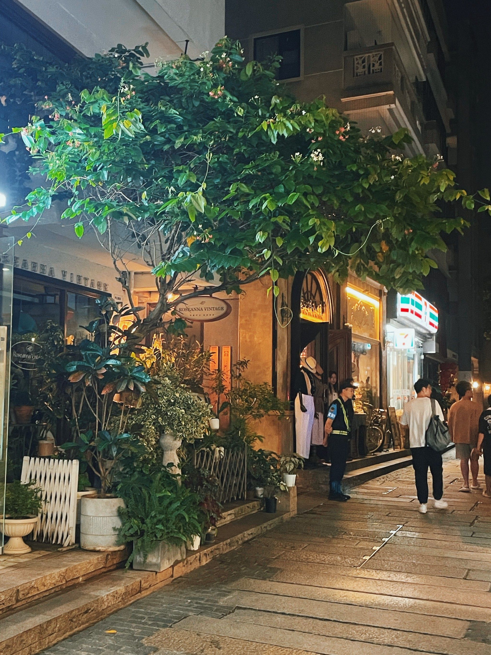 n
古城内,充斥着很多非常有特色的小店,是小文青的聚集地.