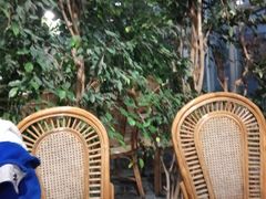 -红栌温泉山庄生态美食餐厅