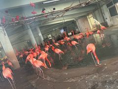 -石家庄市动物园