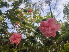 -荔景渔庄