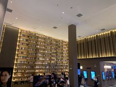 -深影国际影城(学院南路店CGS中国巨幕店)