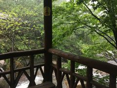 -天花井景区