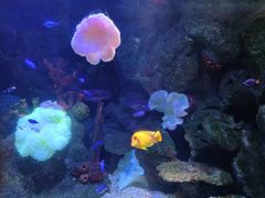 -沈阳海洋探索中心