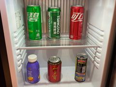 -常州环球恐龙城维景国际大酒店