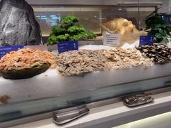 -星伦多自助料理·涮烤一体(江桥万达店)