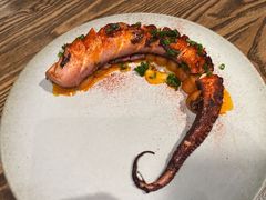 章鱼-Apollo·西班牙小酒馆(安福路店)