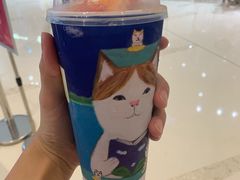 -奈雪的茶(石家庄万象城店)