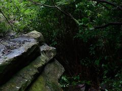 -雾灵西峰