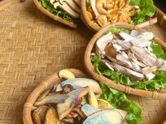 -滇野云南野生菌餐厅(陕西南路店)