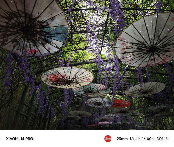 苏州太湖国家湿地公园图片