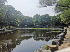 -高尔山公园