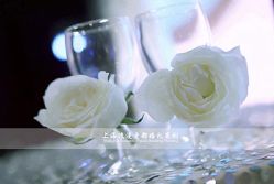 -上海浦东喜来登由由大酒店·宴会厅