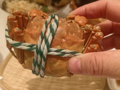 清蒸阳澄湖大闸蟹公蟹-丫丫蟹庄·苏式园林农家乐·阳澄湖大闸蟹(阳澄湖莲花岛店)