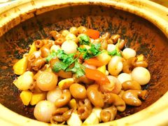 -陕西会客厅·宴会厅·唐世佳宴