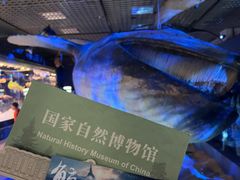-国家自然博物馆