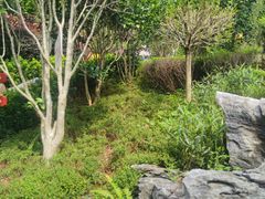 -英德宝晶宫天鹅湖茶语温泉