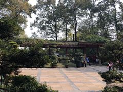 -南山植物园