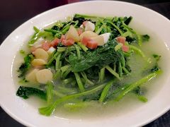 上汤菠菜-老牌坊鲁菜名店(宽厚里店)