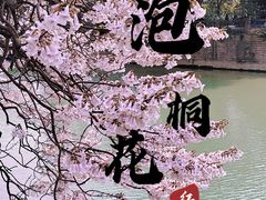 -红星桥(地铁站)