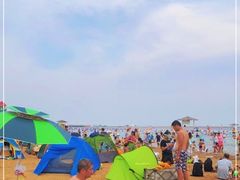 -碧海金沙