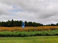 绿皮茄子-妈妈的小作坊(陈家镇店)