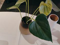 -眉州东坡(通州店)