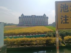 -百万葵园