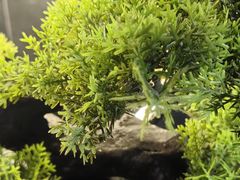 -天禧影院式足道·SPA(梅林店)