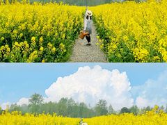 -中国天府农业博览园