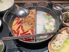 -大龙燚·旷野鲜火锅(广州首店)