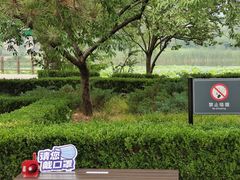 -国家植物园南园