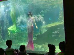 -嘉兴海底世界