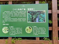 -韶关经律论国际酒店温泉