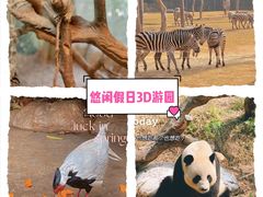 -广州长隆野生动物世界