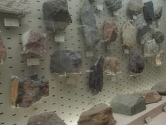 -浙江自然博物院(杭州馆)