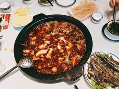 -大江美蛙鱼火锅(都江堰店)